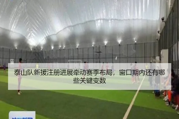 泰山队新援注册进展牵动赛季布局，窗口期内还有哪些关键变数